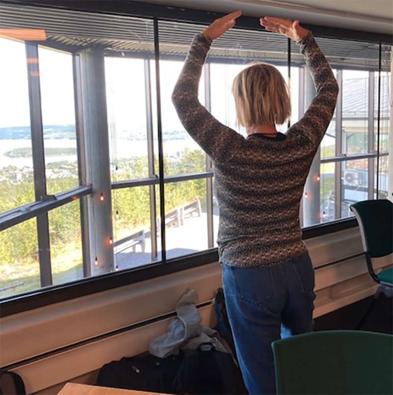 Field trials - Update from Sweden
